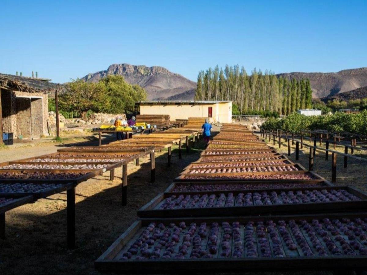 Weltevrede Fig Farm Apartment Prince Albert Bagian luar foto