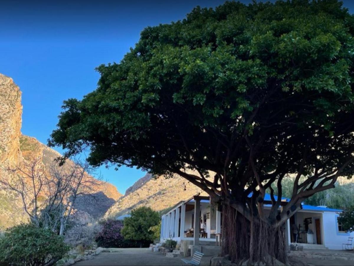 Weltevrede Fig Farm Apartment Prince Albert Bagian luar foto