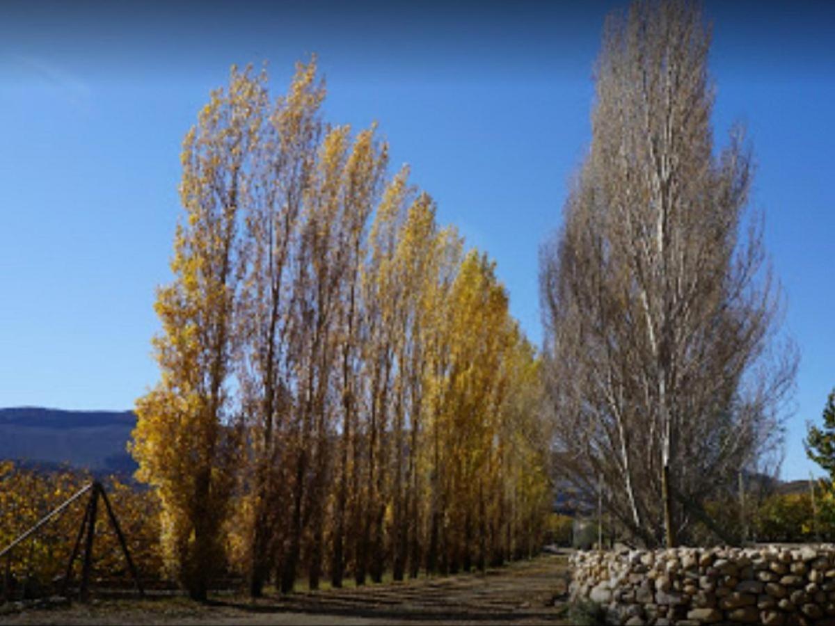 Weltevrede Fig Farm Apartment Prince Albert Bagian luar foto